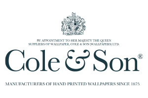cole and sonelogo
